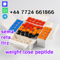 Semaglutide Peptide  at Factory Prices from Manufacturers