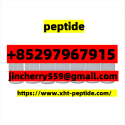 Tirzepatide	2023788-19-2