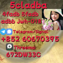 Supply low price 5cladba fast delivery
