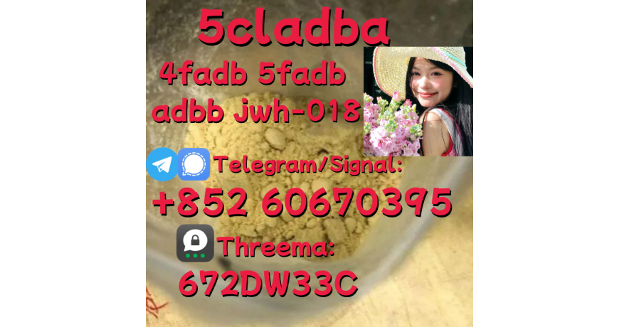 Supply low price 5cladba fast delivery
