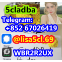 5CL-ADBA Strongest Research Chemical 5cl Precursor 5cladba