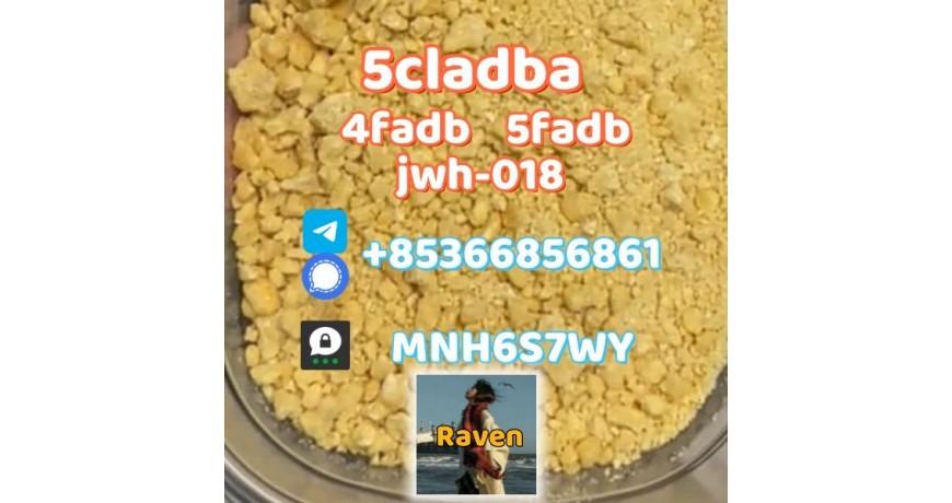 5cladba precursor adbb powder 5fadb raw material supply