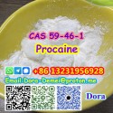 Procaine，CAS 59-46-1