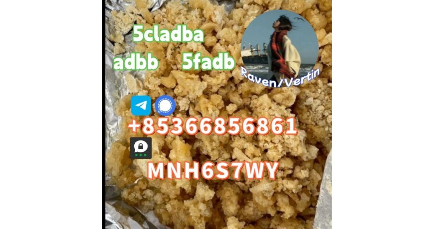 5cladba precursor adbb powder 5fadb raw material supply