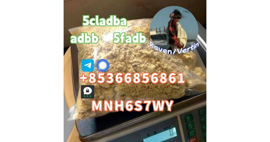 5cladba precursor adbb powder 5fadb raw material supply