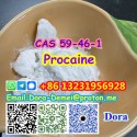 Procaine，CAS 59-46-1