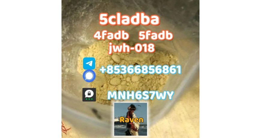 5cladba precursor adbb powder 5fadb raw material supply