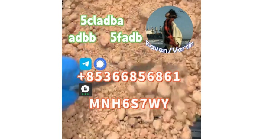 5cladba precursor adbb powder 5fadb raw material supply