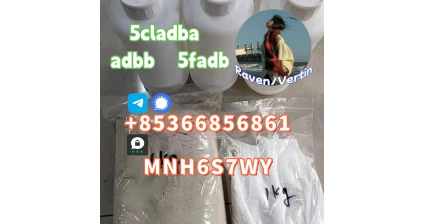 5cladba precursor adbb powder 5fadb raw material supply