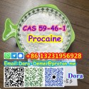 Procaine，CAS 59-46-1
