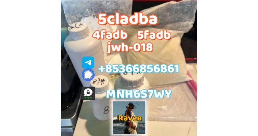 5cladba precursor adbb powder 5fadb raw material supply