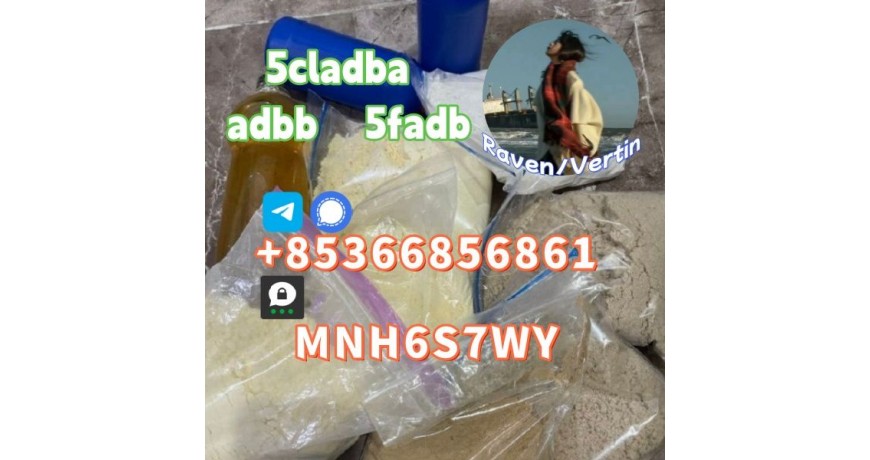 5cladba precursor adbb powder 5fadb raw material supply