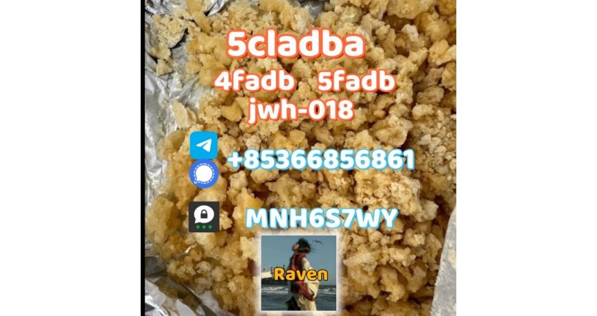 5cladba precursor adbb powder 5fadb raw material supply