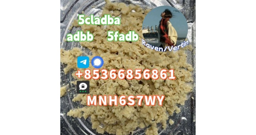 5cladba precursor adbb powder 5fadb raw material supply