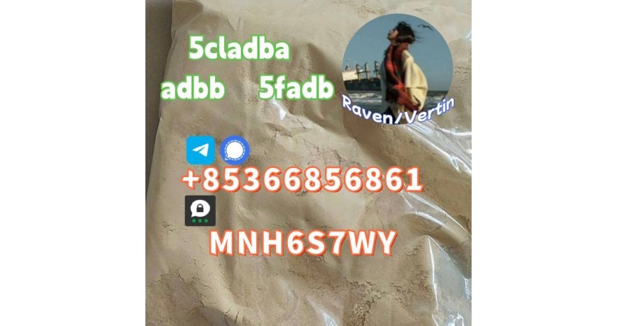 5cladba precursor adbb powder 5fadb raw material supply