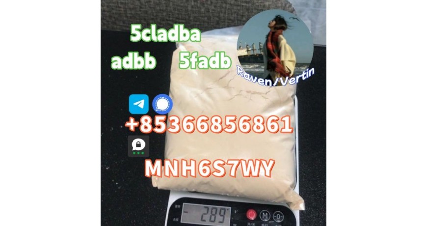 5cladba precursor adbb powder 5fadb raw material supply
