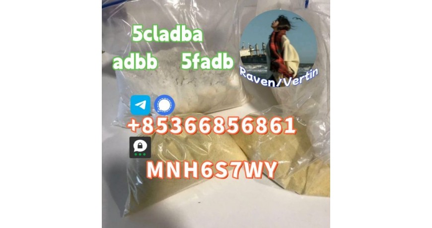 5cladba precursor adbb powder 5fadb raw material supply