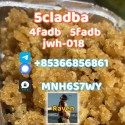 5cladba precursor adbb powder 5fadb raw material supply