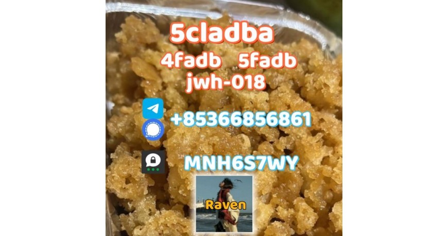 5cladba precursor adbb powder 5fadb raw material supply