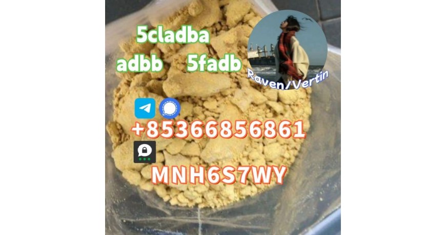 5cladba precursor adbb powder 5fadb raw material supply