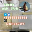 5cladba precursor adbb powder 5fadb raw material supply