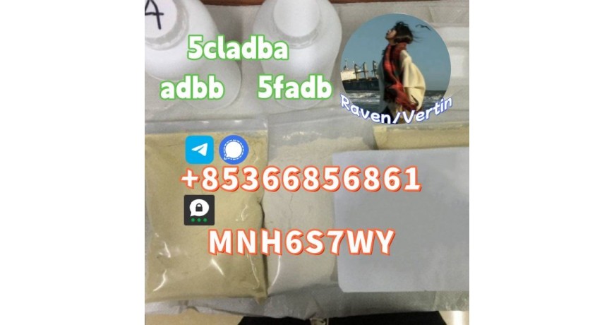 5cladba precursor adbb powder 5fadb raw material supply