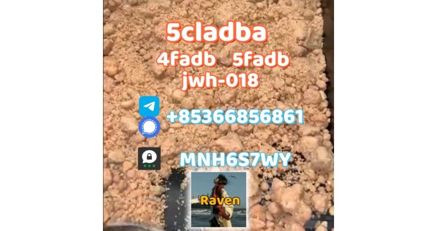 5cladba precursor adbb powder 5fadb raw material supply