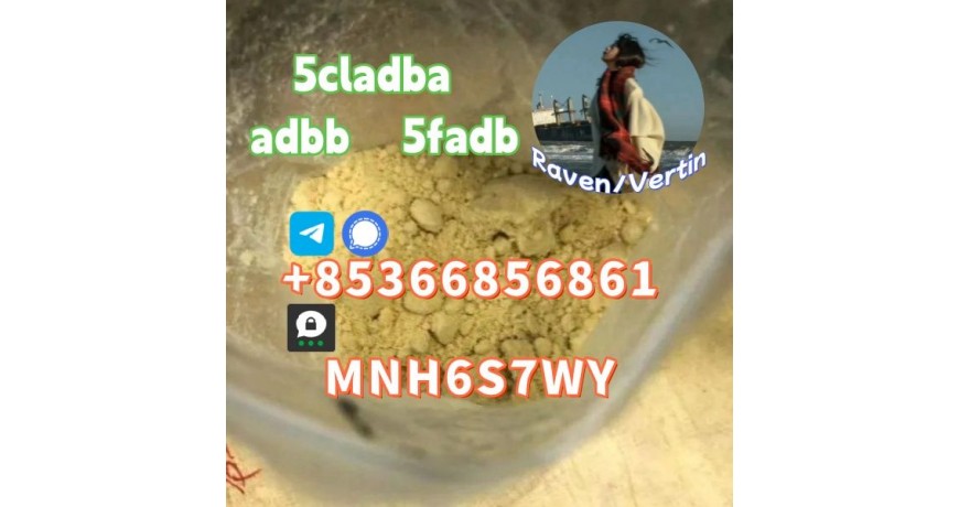 5cladba precursor adbb powder 5fadb raw material supply