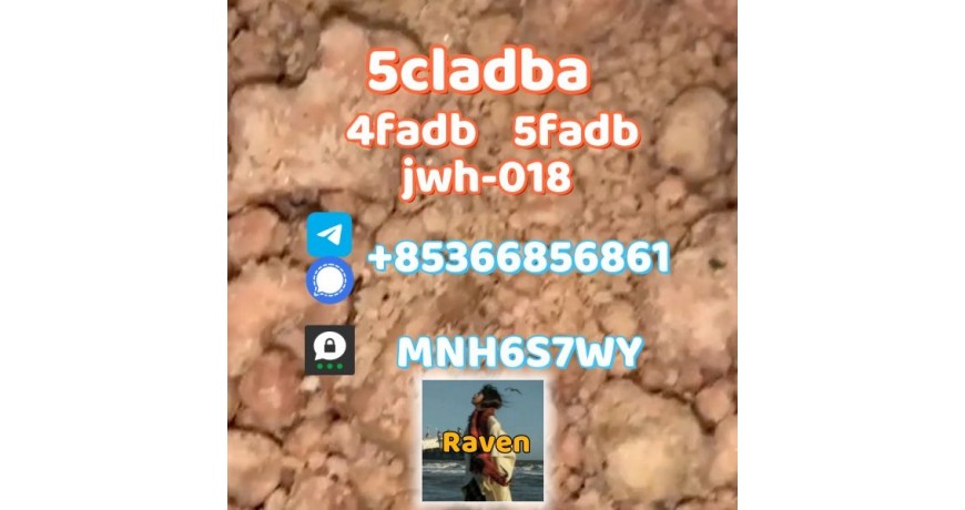 5cladba precursor adbb powder 5fadb raw material supply