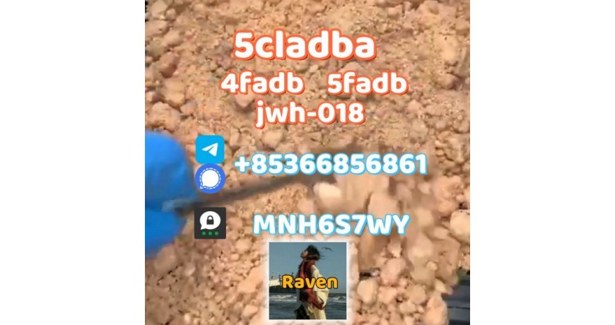 5cladba precursor adbb powder 5fadb raw material supply