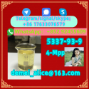 Manufacturer Supply Raw Material CAS 5337-93-9 4-Methylpropiophenone