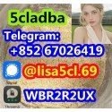 5CL-ADB-A powder 5-cl-adb-a Research Chemical Powders 5cladba