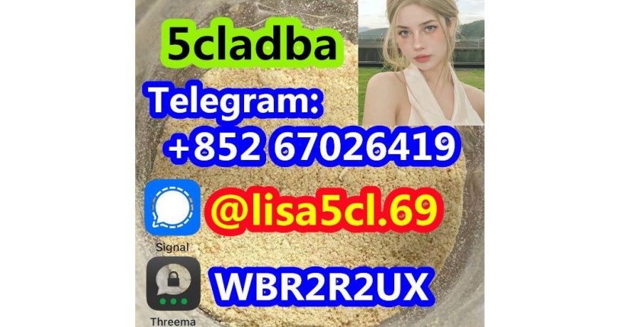 5CL-ADB-A powder 5-cl-adb-a Research Chemical Powders 5cladba