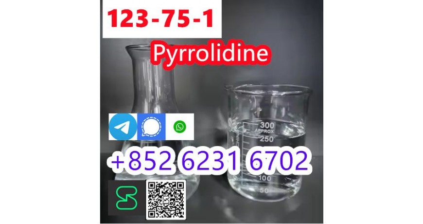 legit Supplier Pyrrolidine N Methyl Pyrrolidine CAS 123-75-1