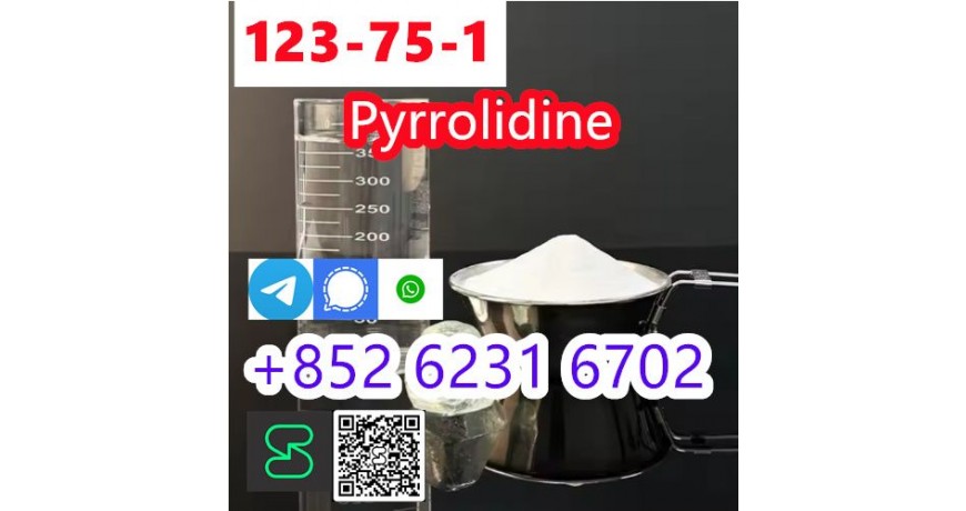 legit Supplier Pyrrolidine N Methyl Pyrrolidine CAS 123-75-1