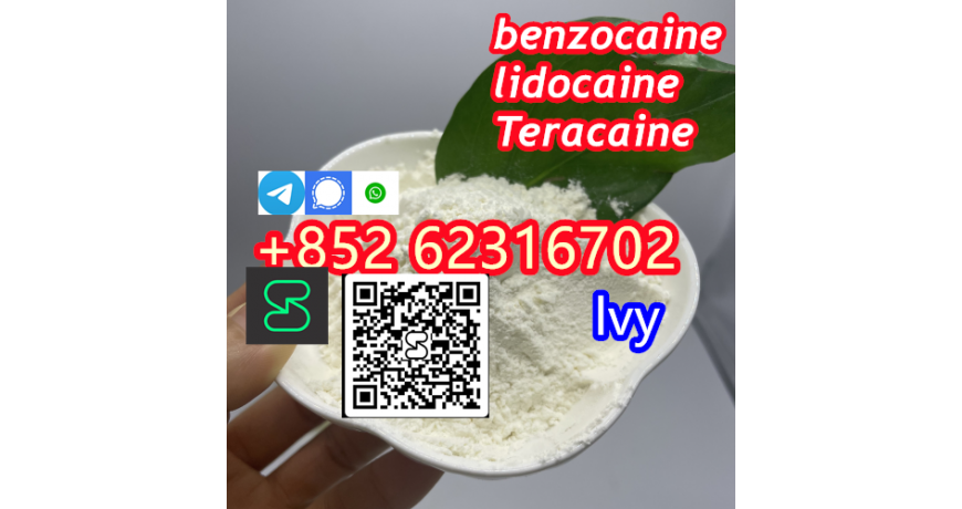 CAS 137-58-6 Lidocaine crystal Safe Delivery