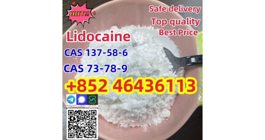Hot Sales Lidocaine CAS 137-58-6 99% Lidocaine