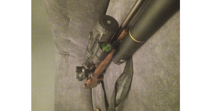 Sauer 100