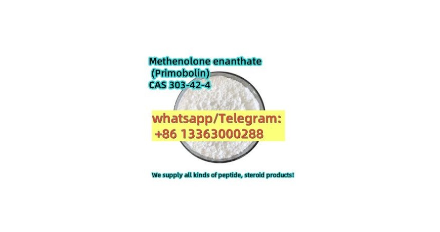 Methenolone/primoban enanthate cas303-42-4