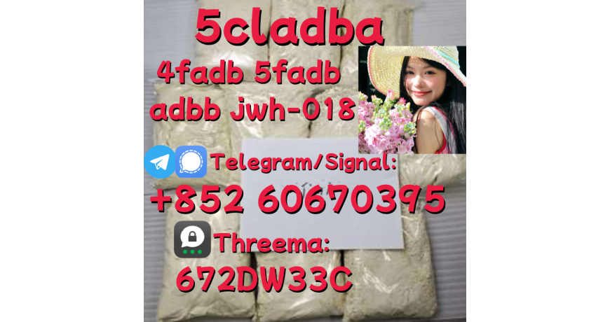 Supply low price 5cladba fast delivery