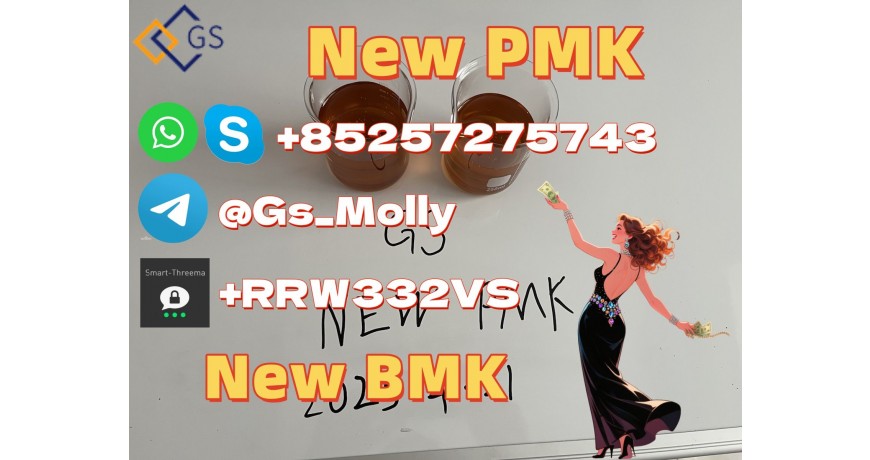 GS New BMK Glycidic Acid (sodium salt) CAS 5449-12-7 Factory Price