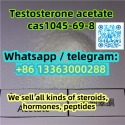 Trestolone acetate cas 1045-69-8