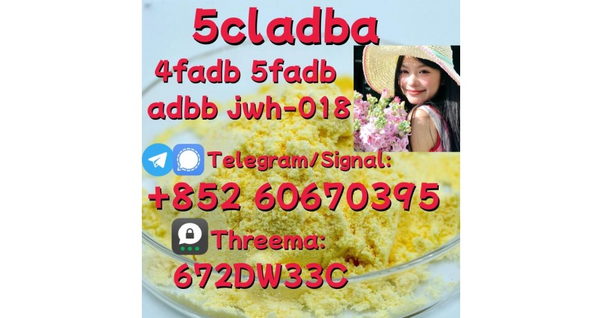 Supply low price 5cladba fast delivery