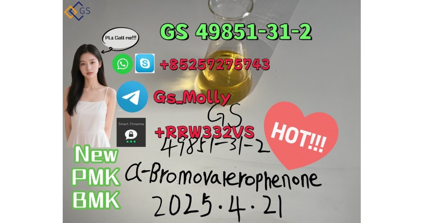 GS 49851-31-2 Chemical Oil With Top Quality New PMK CAS 28578-16-7