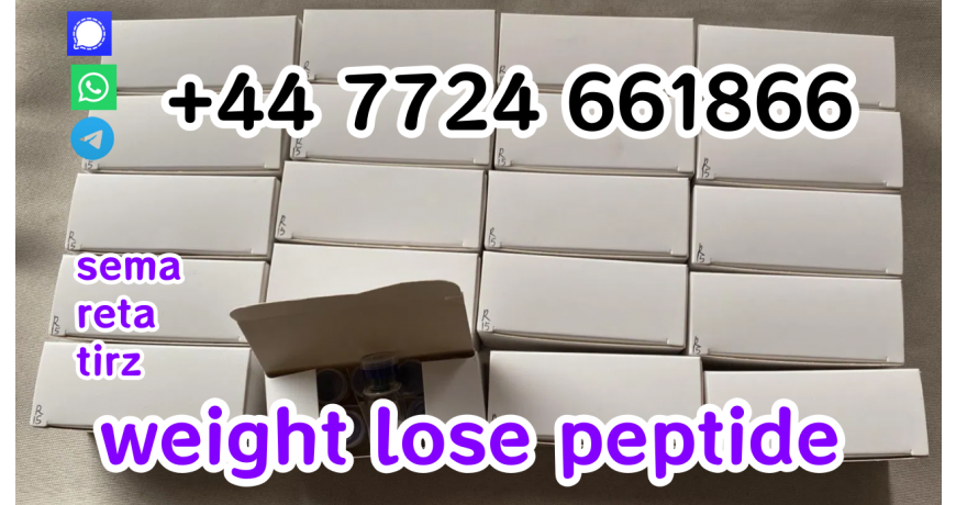 Semaglutide Peptide  at Factory Prices from Manufacturers