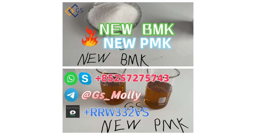 Best Precursor Supply Hot Selling GS PMK BMK CAS 28578-16-7，5449-12-7