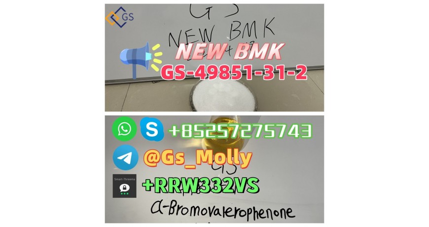 NEW GS BMK Glycidic Acid (sodium salt) CAS 49851-31-2