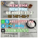 2025 New GS BMK/PMK Oil Hot Selling CAS 1451-81-2