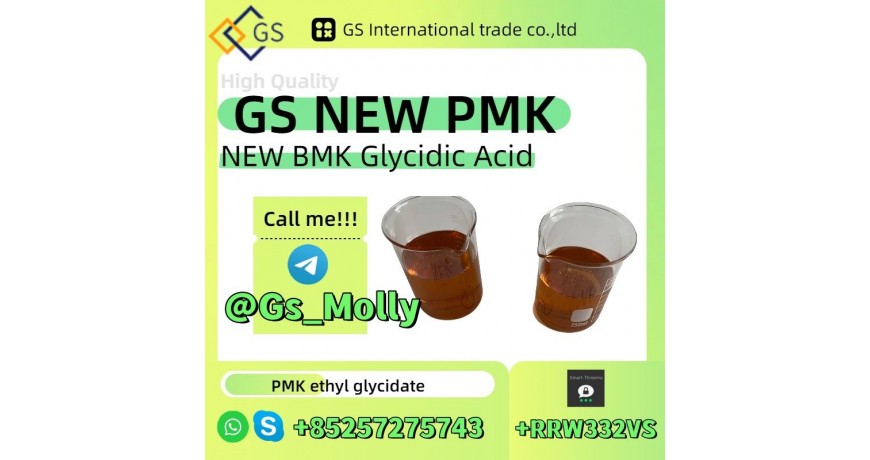 High Purity GS New PMK Oil Factory Supply