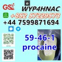 59-46-1 Procaine – Hot Sale! Trusted China Supplier with Stock!
